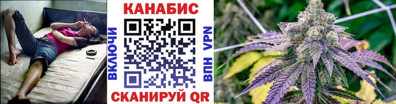 Шишки марихуана сатива  наркота  Серафимович 